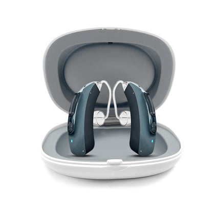 502B Smart In-Ear Hearing Aid with 64-Channel Processing & AI Noise Reduction